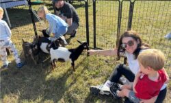 Springdale Field Festival celebrates community