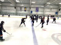 Timberwolves butt heads with Rams