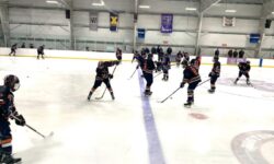 Timberwolves butt heads with Rams