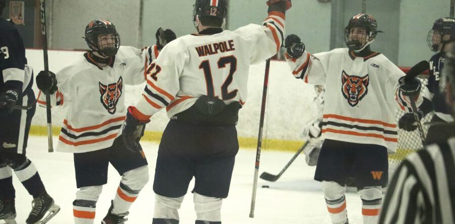 Timberwolves crush Needham