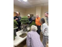Learning about bonsai at the DTL