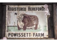 DHS opens Amelia Peabody exhibition