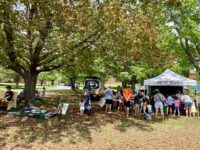 Enchanted Spring arrives at Bellforge