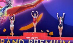 Needham gymnast wins gold abroad