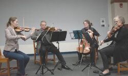 WSO seeks to make symphony more approachable