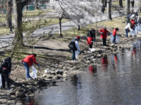 Suburban towns celebrate Earth Day